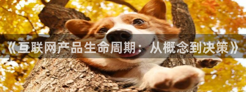 辉达娱乐珈75775