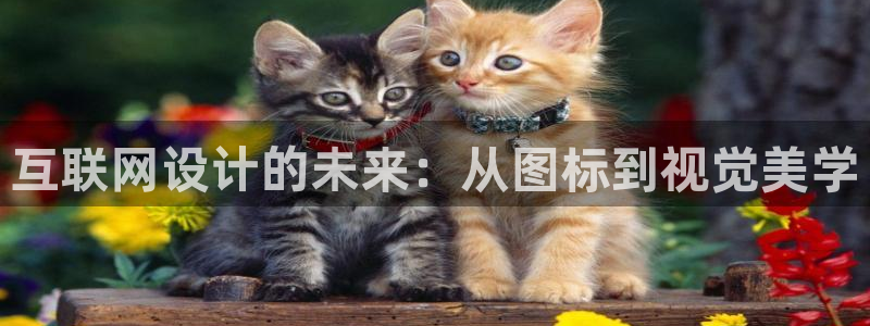 辉达娱乐多少年