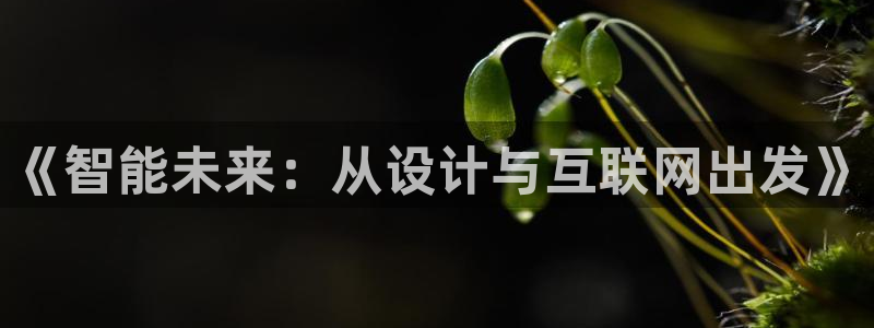 辉达娱乐电子游艺