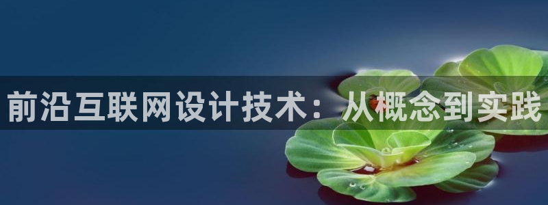 专业辉达娱乐平台