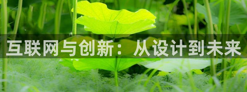 辉达平台官网首页