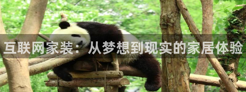 辉达娱乐重庆时时彩注册