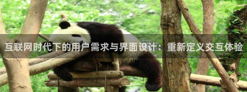 龙腾辉达电子娱乐