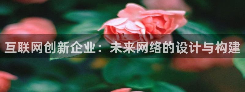 辉达平台注册流程