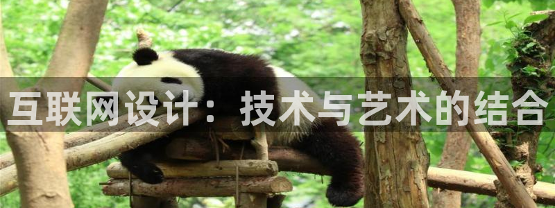 辉达娱乐多少年