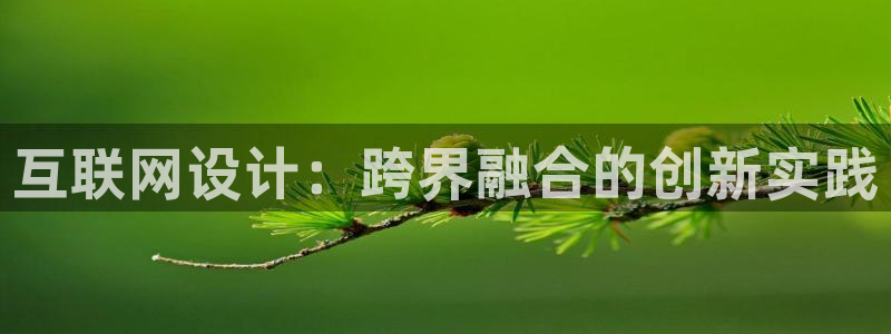 辉达平台注册资金多少