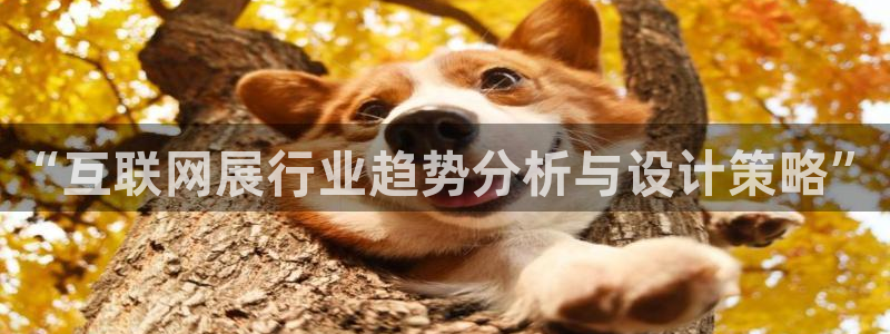 专业辉达娱乐在线游戏