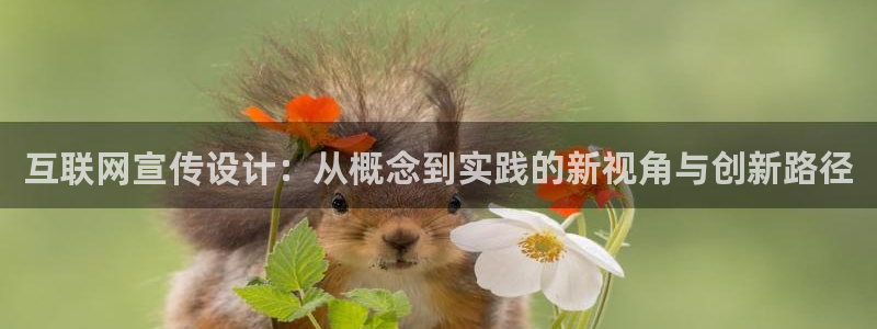 辉达娱乐丶39444