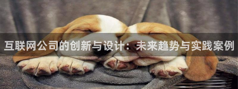 辉达平台官网电话