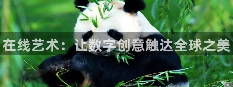 专业辉达娱乐平台