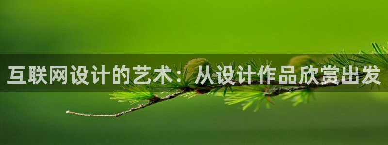 辉达娱乐线路检测