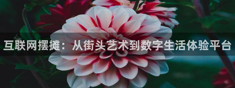 辉达娱乐广东11选5