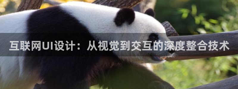 辉达平台官网网站