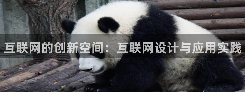 代理辉达娱乐官方网址