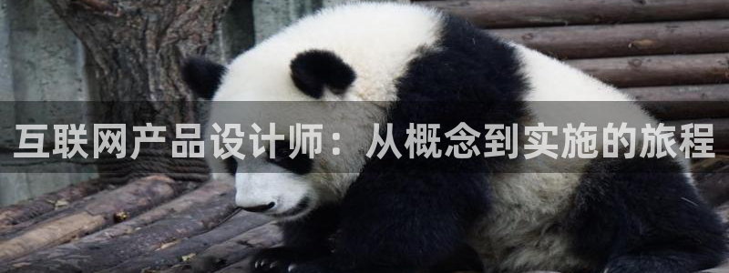 辉达集团官方网站：互联网产品设