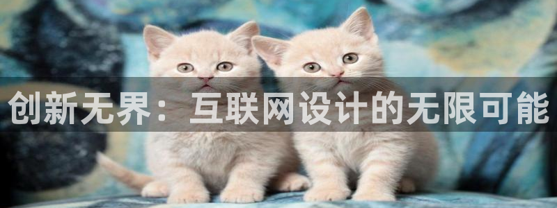 辉达娱乐开户注册：创新无界：互