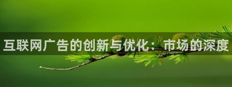 辉达平台官网首页：互联网广告的