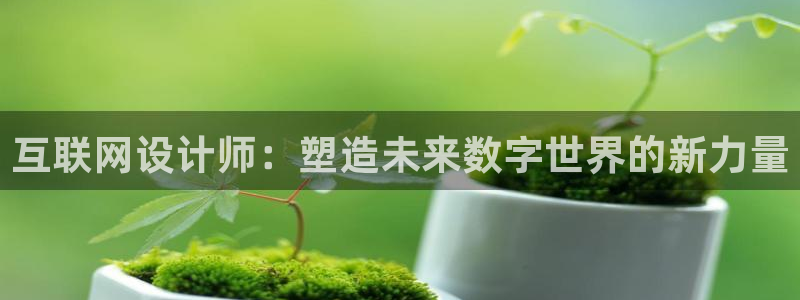 辉达娱乐登录：互联网设计师：塑