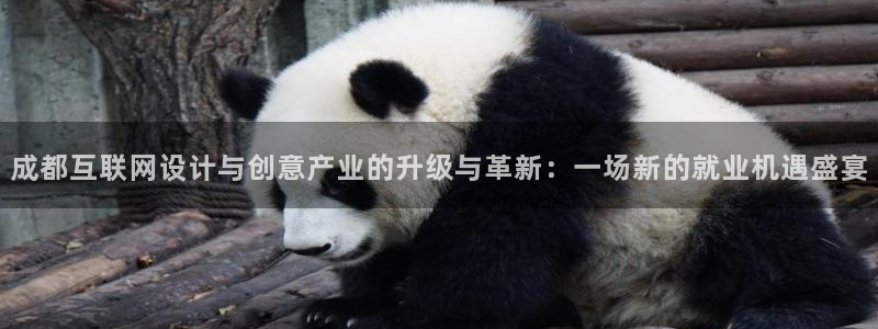 辉达娱乐ag游戏平台：成都互联