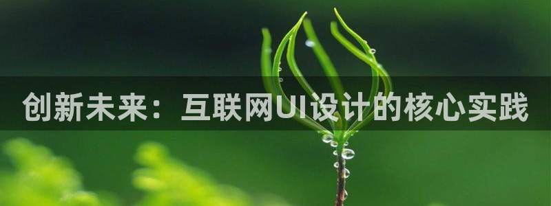 辉达娱乐加q75775稳定