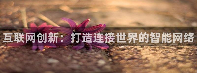 辉达娱乐官网