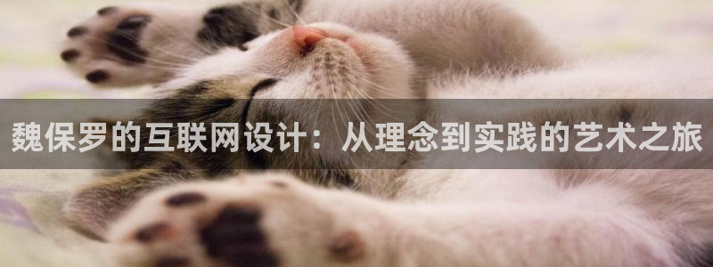 代理辉达娱乐