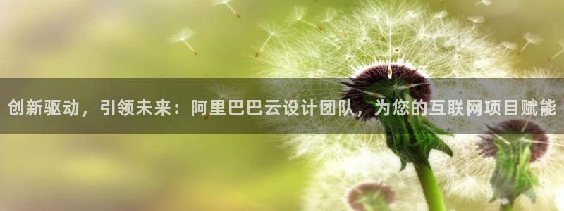 辉达娱乐多少年