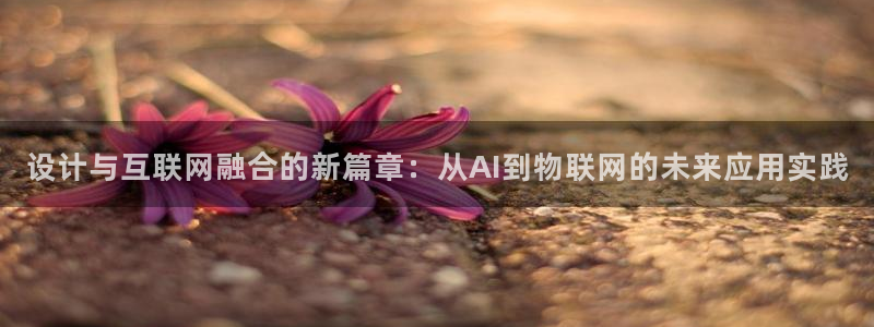 辉达娱乐五39444