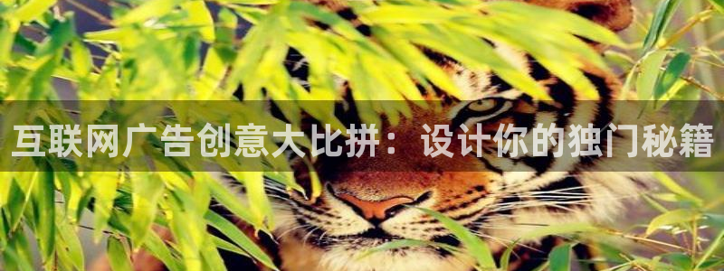 代理辉达娱乐官方网址