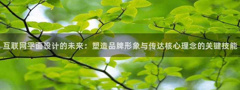 辉达娱乐计划软件