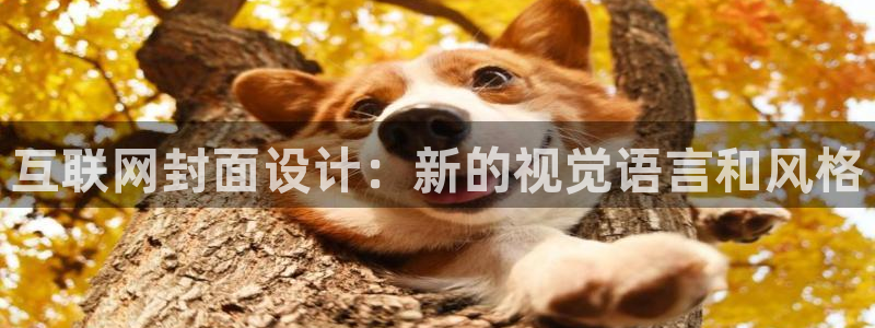 辉达娱乐多少年