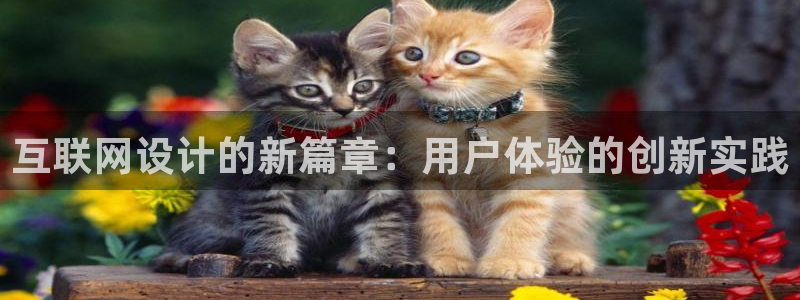 辉达平台注册流程
