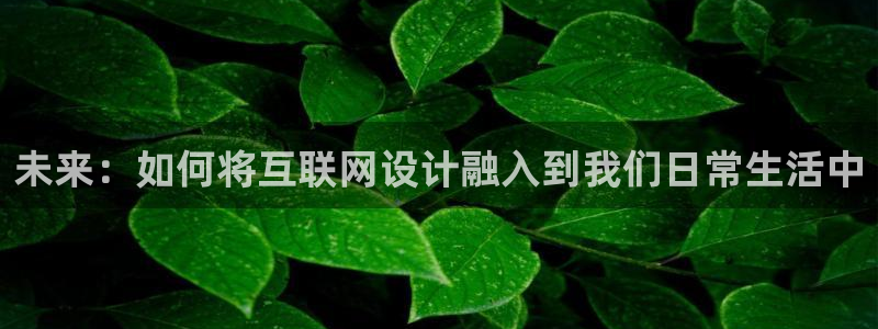 辉达平台注册：未来：如何将互联