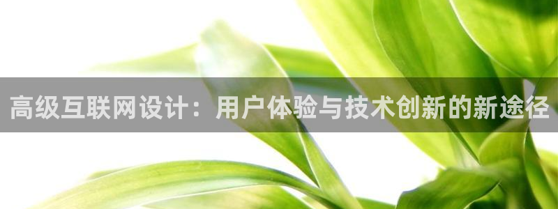 辉达官网登录入口入口：高级互联