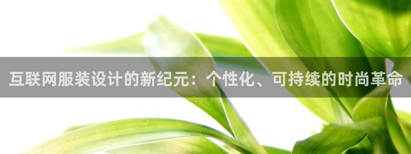辉达娱乐官网：互联网服装设计的