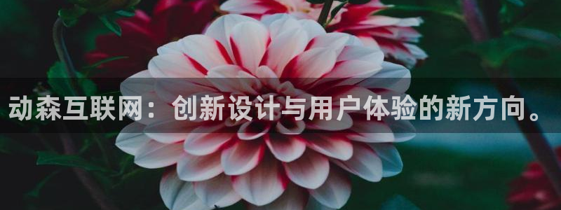 恒达娱乐辉70667