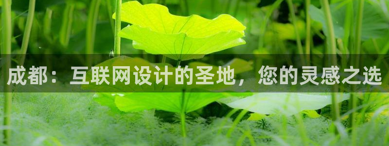 信誉辉达娱乐开户注册：成都：互