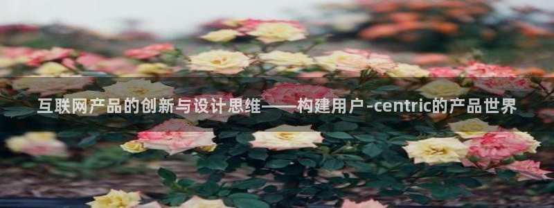 辉达娱乐平台
