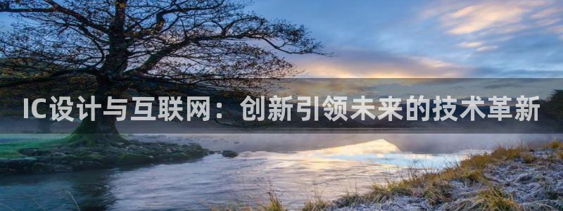 辉达娱乐五75505：IC设计