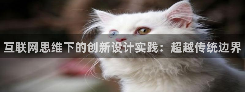 正规辉达娱乐开户注册