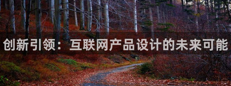 辉达娱乐注册