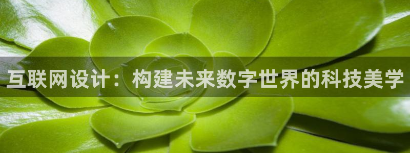 辉达娱乐app：互联网设计：构