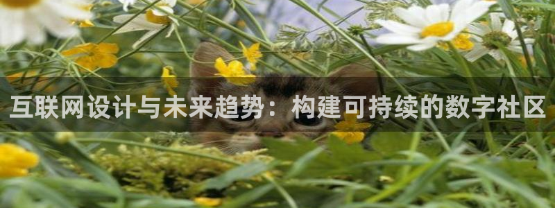 辉达娱乐五39444：互联网设