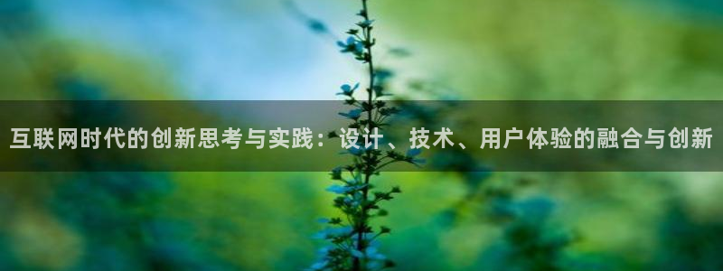 辉达娱乐正规吗：互联网时代的创