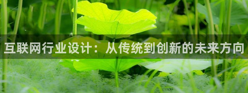 辉达娱乐广东11选5：互联网行