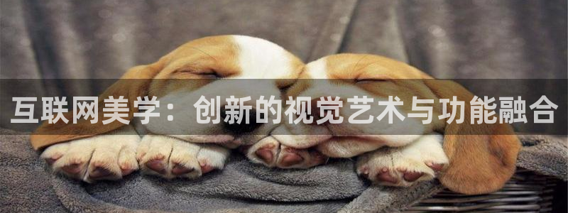辉达平台注册流程：互联网美学：